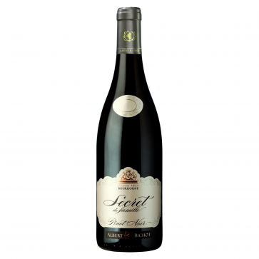 Weinkontor Sinzing Bourgogne Pinot Noir AC, Le Secret de Famille 2020 F1130-32